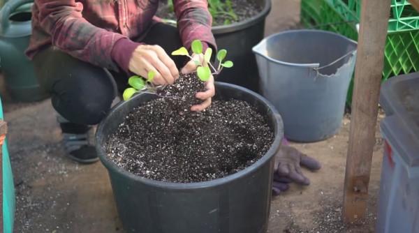外國牛人自制人工小島，一住就是29年