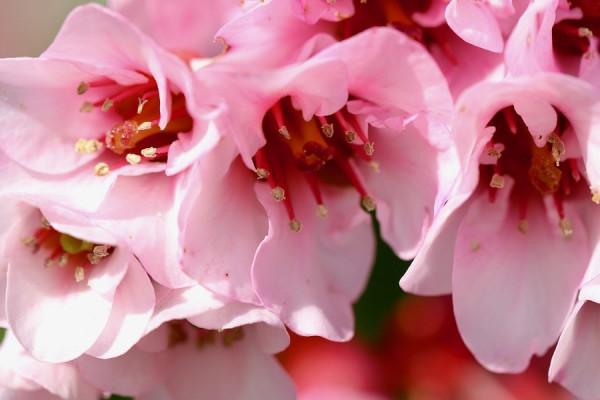 獅子座女生2022年運勢詳解，事業發展得挺不錯，可以收穫巨大成功