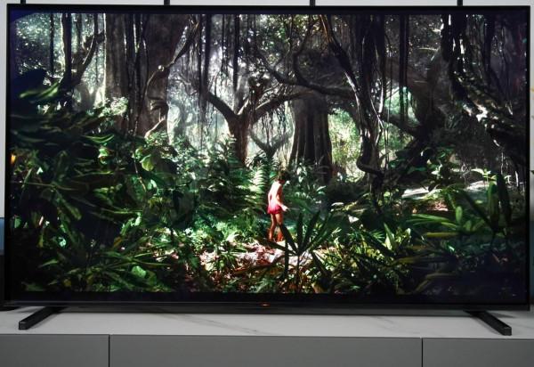 最適合有娃和影視一族的OLED電視Sony65A80J 最適合有娃和影視一族的OLED電視Sony65A80J