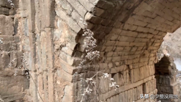 尋找阜新縣大山深處的千年古墓，野草叢生，一片荒涼