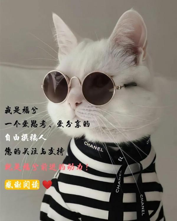 為什麼減肥超級難?馬思純的逆肥告訴我們原來肥胖的原因並不簡單 為什麼減肥超級難?馬思純的逆肥告訴我們原來肥胖的原因並不簡單