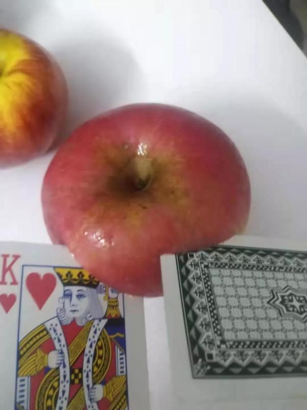 興趣是孩子最好的老師,堅持是最好的見證 興趣是孩子最好的老師,堅持是最好的見證