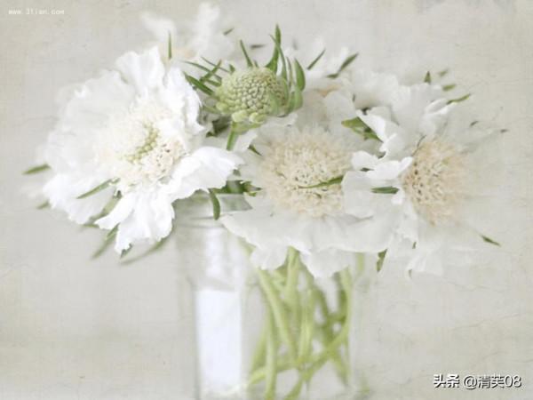 丈夫憤怒殺妻為哪般? 丈夫憤怒殺妻為哪般?