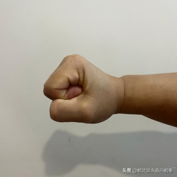 看這一篇就夠!帶你學懂永春白鶴拳基礎手型之拳和掌 看這一篇就夠!帶你學懂永春白鶴拳基礎手型之拳和掌