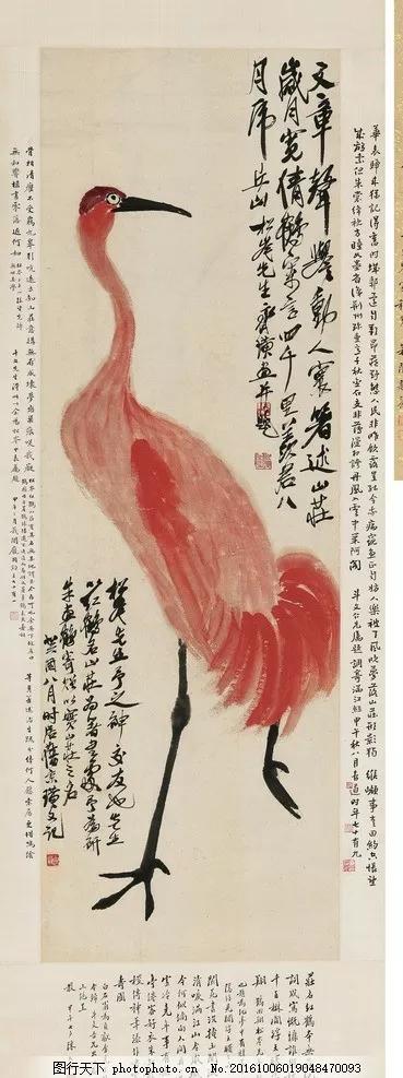 侯鳥火烈鳥紅鶴