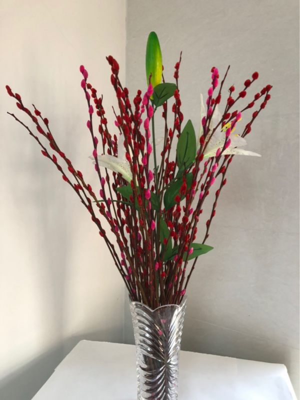 “家有銀柳,越過越有”,寓意銀兩到家,當之無愧的旺財花 “家有銀柳,越過越有”,寓意銀兩到家,當之無愧的旺財花