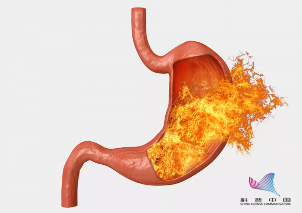 長期重口味飲食，不知不覺正在&quot&semi;腐蝕&quot&semi;你的身體！