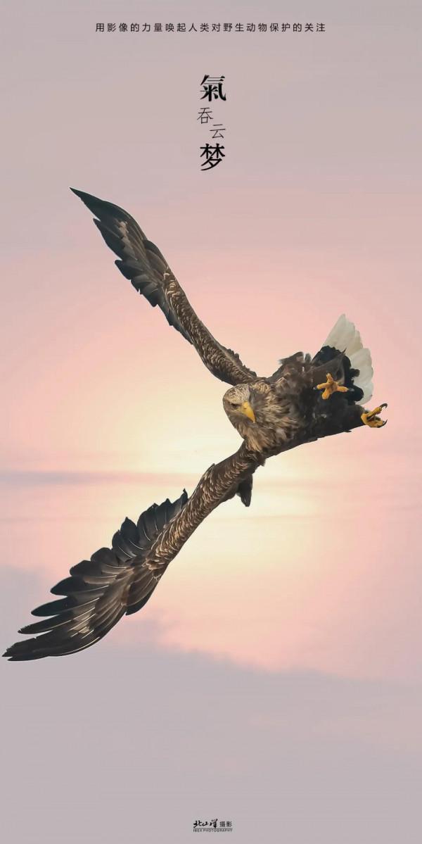 深冬,到新疆觀鳥,會有想不到的驚喜 深冬,到新疆觀鳥,會有想不到的驚喜