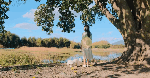 2000塊租下200平小院！27歲女孩獨居大理6年：做自己真的太好了