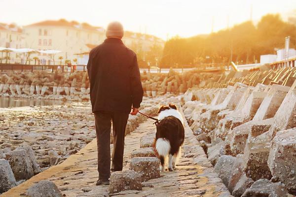 晨讀｜老男人的友情