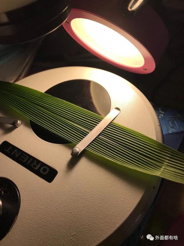 令人驚奇的葉沿——讓孩子學會使用常用工具系列