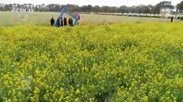 焦點訪談丨農業：走上高質量發展之路