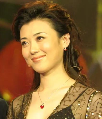 央視主持人李紅寫真集 央視主持人李紅寫真集