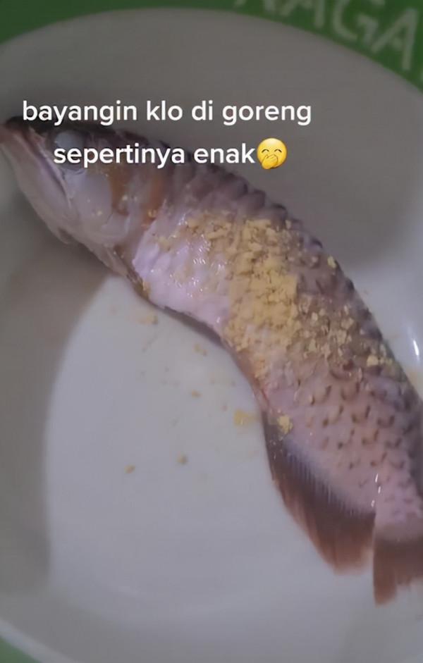 外國丈夫斥巨資買龍魚,卻甩手丟給妻子照料,妻子氣急把魚炸了 外國丈夫斥巨資買龍魚,卻甩手丟給妻子照料,妻子氣急把魚炸了