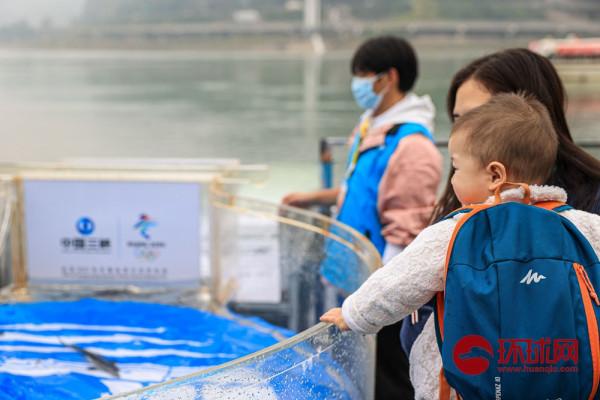 5萬尾長江鱘將放流長江，創歷史新高