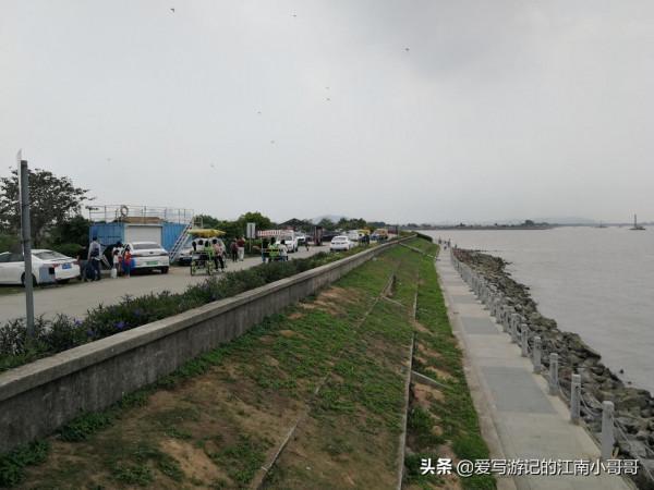 處在淡水水域的海鷗島，因外形輪廓相似而得名，其實並沒有海鷗