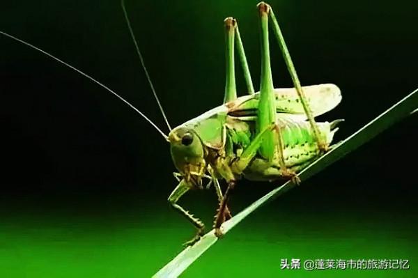 旅行記憶——從童年的郊遊開始