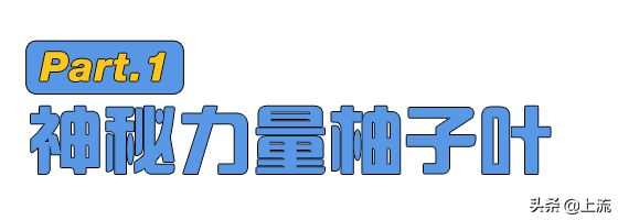 柚子葉洗澡，如何成為廣東人的轉運密碼？