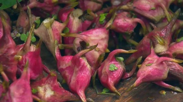 入深秋,別忘記吃“江南水八仙”,健脾祛溼、養心潤肺,舒服過秋 入深秋,別忘記吃“江南水八仙”,健脾祛溼、養心潤肺,舒服過秋