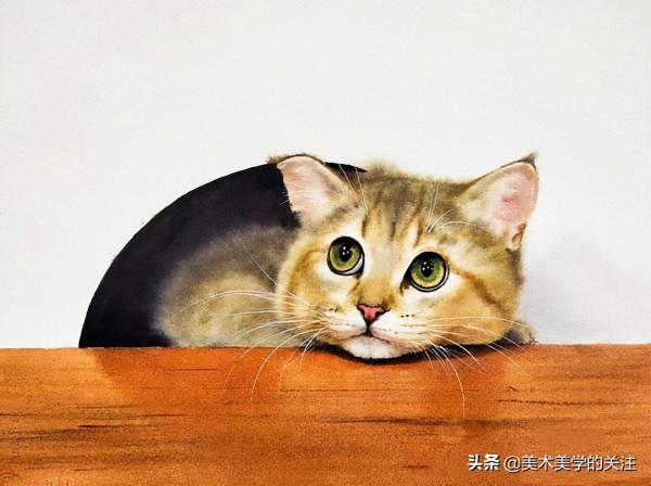 顏料抵擋不住它的美態,流浪改變不了它的命運——水彩貓咪的世界 顏料抵擋不住它的美態,流浪改變不了它的命運——水彩貓咪的世界