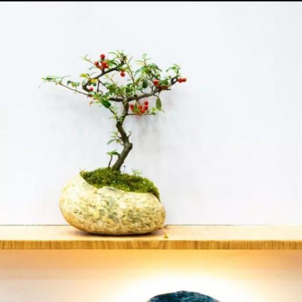 藝術在民間 藝術在民間