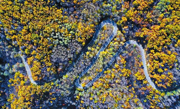 美圖｜五彩斑斕的北京，您最愛哪兒？