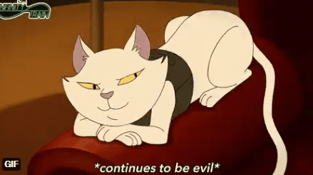 引人猜想的貓!來自書桌的詭異一笑:奴才感到害怕 引人猜想的貓!來自書桌的詭異一笑:奴才感到害怕