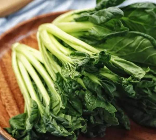 農曆中國 | 十一月初三 · 塌苦菜