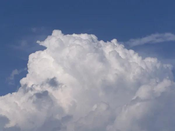 一些讓你聽完起雞皮疙瘩的冷知識…… 一些讓你聽完起雞皮疙瘩的冷知識……