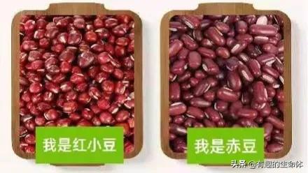 這14種豆類糧食你見過幾種，吃過幾種呢？很多人分不清是什麼豆子