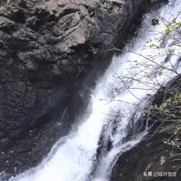 中秋遊新疆 | 去天池 尋找秋天的童話 中秋遊新疆 | 去天池 尋找秋天的童話