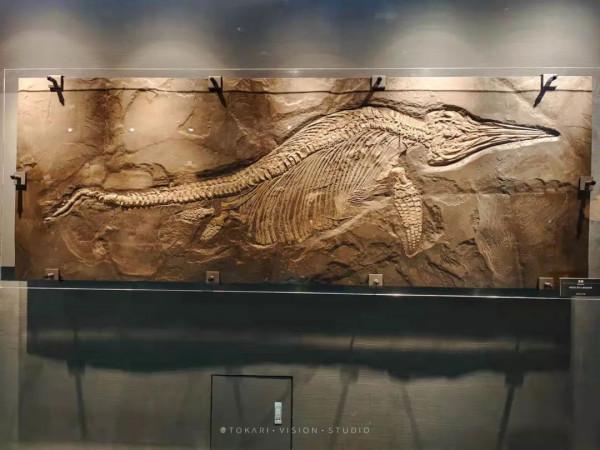 逛逛日本 &vert; 一券在手 遊走日本升龍道夢之旅