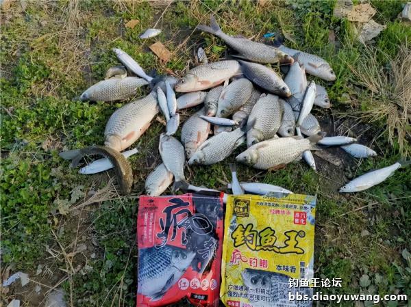 速凍模式，也能瀟灑走一回