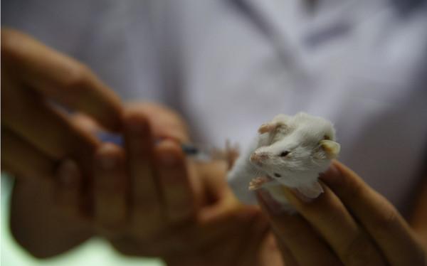 &OpenCurlyDoubleQuote;吃得越飽，死得越早&rdquo;是偽科學還是真靠譜？權威解答來了