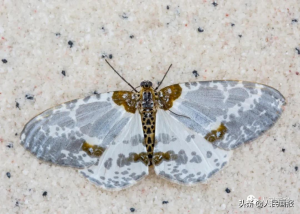 這是你不知道的高黎貢山 這是你不知道的高黎貢山