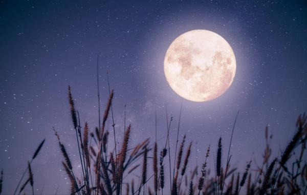 夢遊十里望鄉遠,情別三天思念長。中秋思念詩詞 夢遊十里望鄉遠,情別三天思念長。中秋思念詩詞