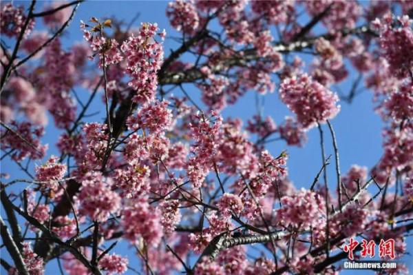 雲南到底有多美？誰沒去過誰後悔……