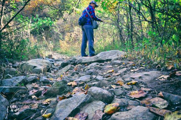 北京有一條“野香山”徒步線路，不僅有絕美紅葉，還藏著香山水庫