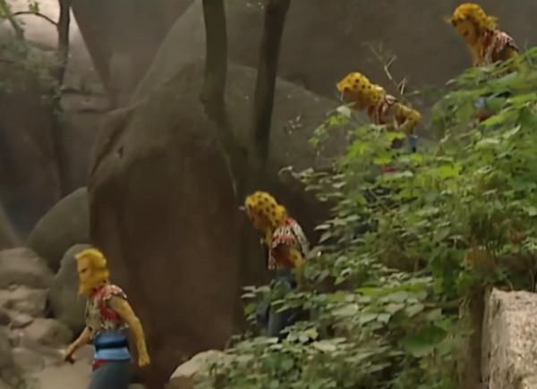 勸年輕人過年別碰砂糖橘,不然真停不下來 勸年輕人過年別碰砂糖橘,不然真停不下來