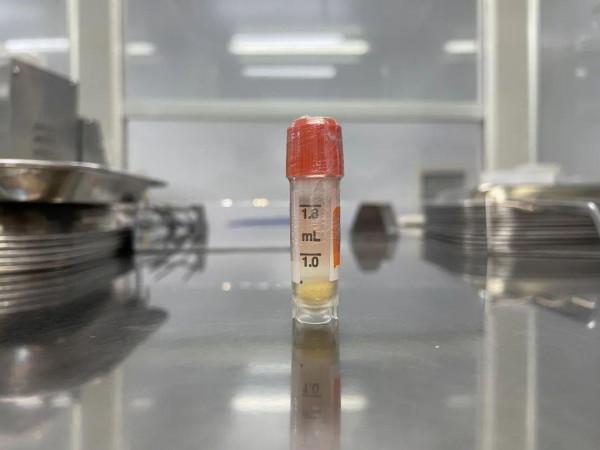 壽仙谷第六次“太空育種”成功歸來丨和航天英雄一起飛天的靈芝、鐵皮石斛順利完成“太空科考” 壽仙谷第六次“太空育種”成功歸來丨和航天英雄一起飛天的靈芝、鐵皮石斛順利完成“太空科考”