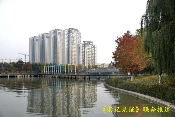 辛丑牛落葉寒歲催闌珊 送別深秋拍紅葉