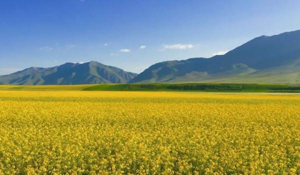 有生之年走遍祖國34省區最美天堂，不枉此生