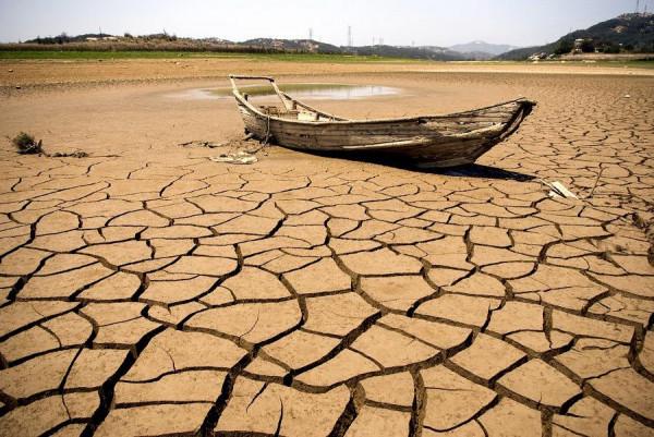 心主神明，心肺熱容易失眠，該怎麼調理？