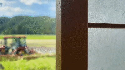 女碩士攢100W去留學,卻放棄當外交官,下嫁日本農村做家庭主婦? 女碩士攢100W去留學,卻放棄當外交官,下嫁日本農村做家庭主婦?