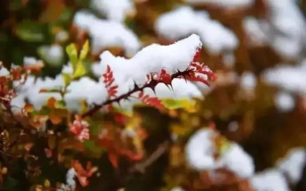 走過風雨四季，品味生活的美好