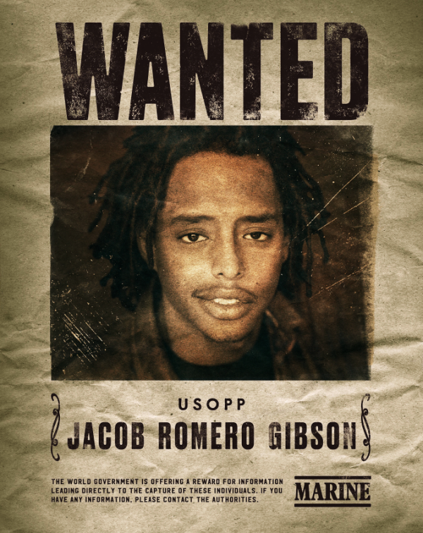 海賊王真人版？懸賞令太過隨意，僅看人物，我是一個都沒有看出來