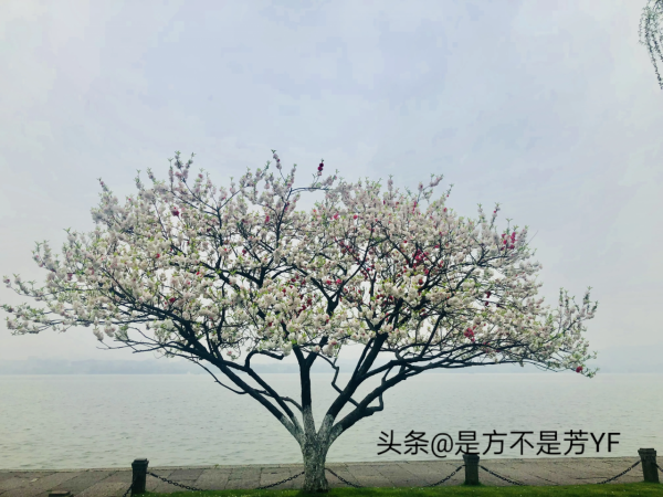 旅遊日記，我的心動時刻