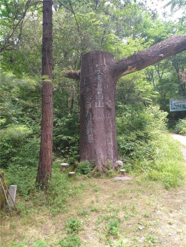 秦嶺深處的這些小縣城，人口不到十萬，哪個更美呢