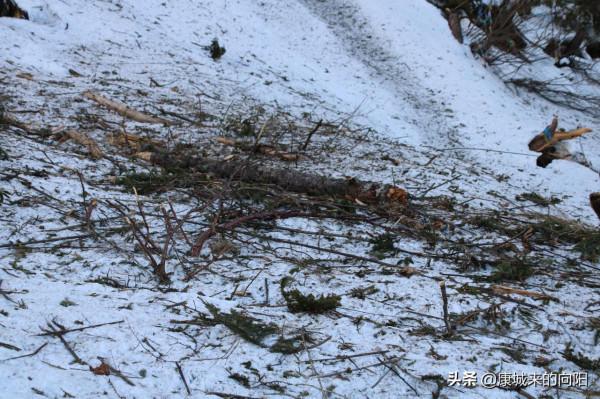 這條徒步線路太美了，這線路適合想去而沒有去過高原的人
