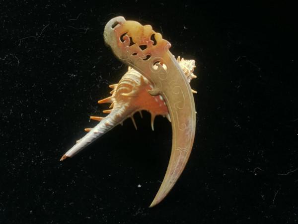 賞一日一器——西漢龍紋玉衝牙